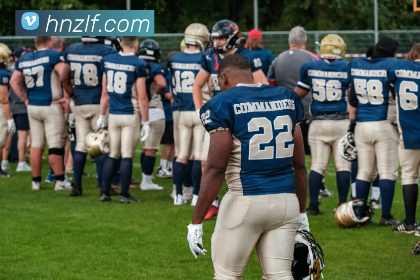 vsport体育平台生态图