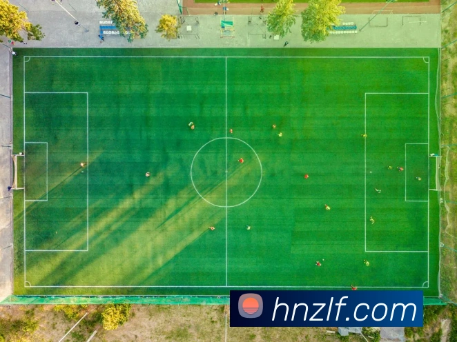 vsport体育APP 封面图