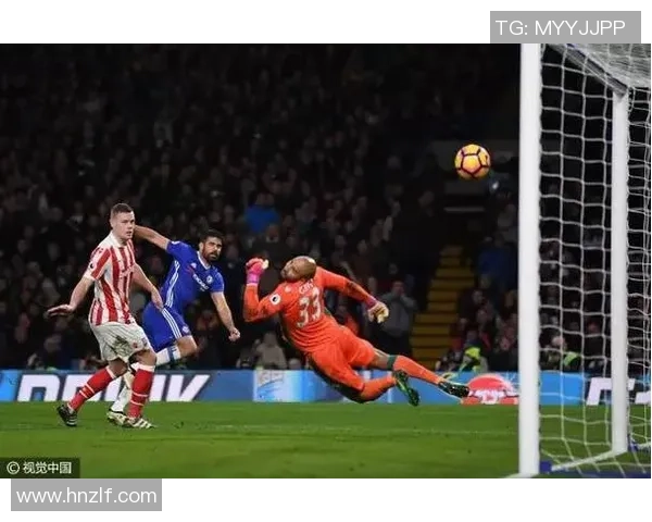 澳大利亚与中华台北激战正酣精彩赛事引发球迷热情高涨